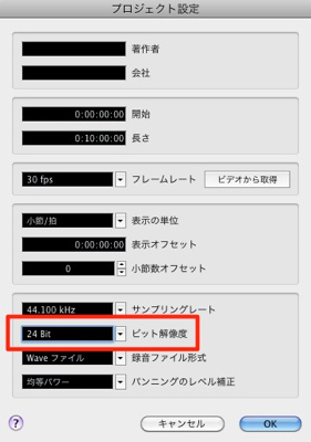 プロジェクト設定のBIT