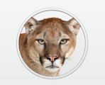 mountainlion