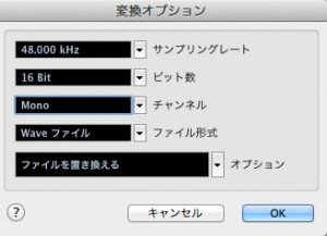 変換オプション