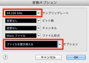 変換オプション