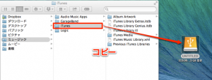 iTunes