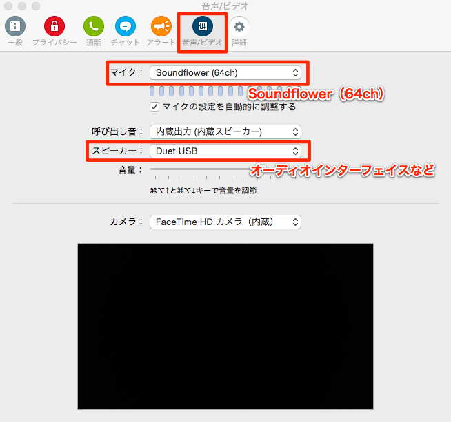 音声_ビデオ設定