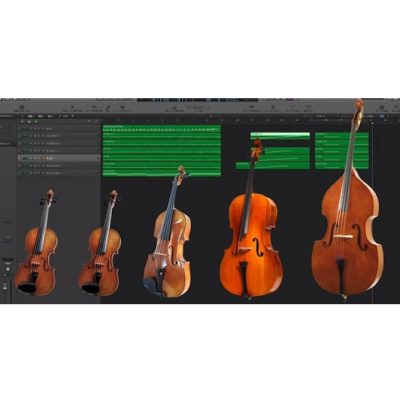 Strings