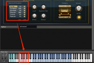 Kontakt 5