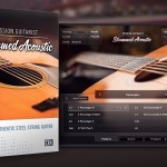 Session_Guitarist