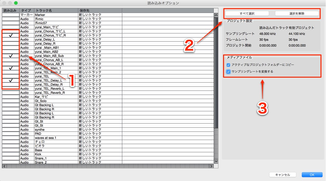 読み込みオプション