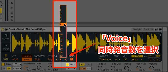 voice