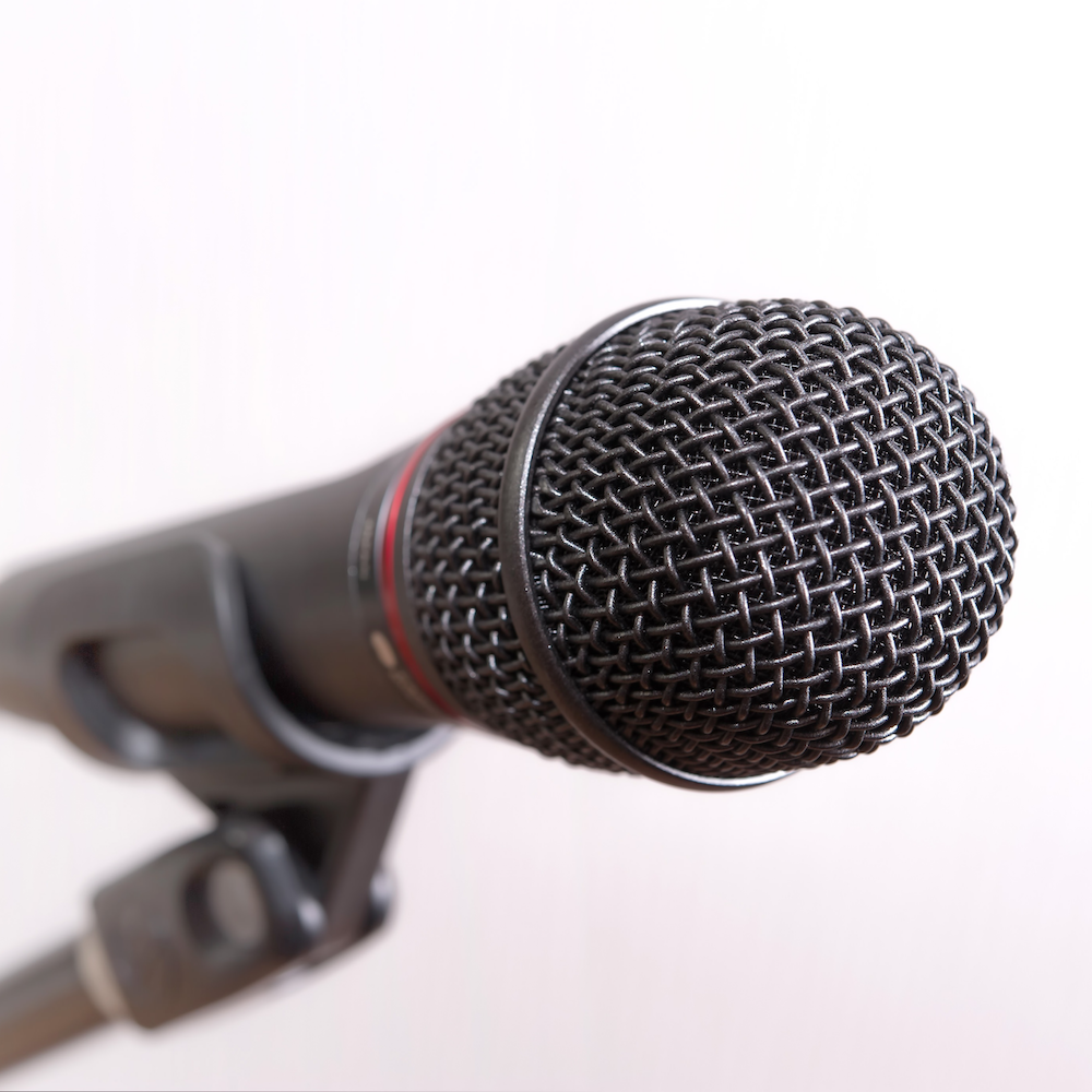 dynamic_mic2