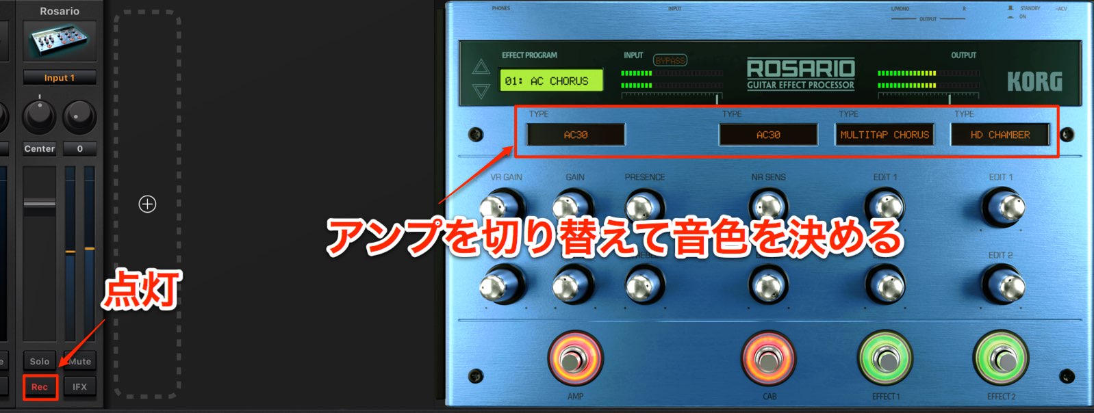 AMP