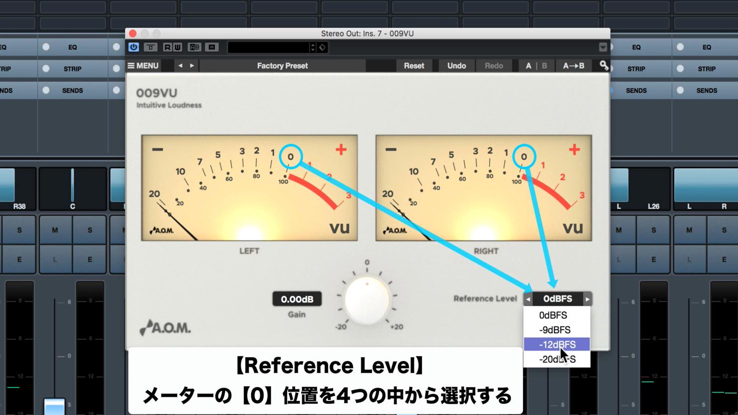 Reference Level