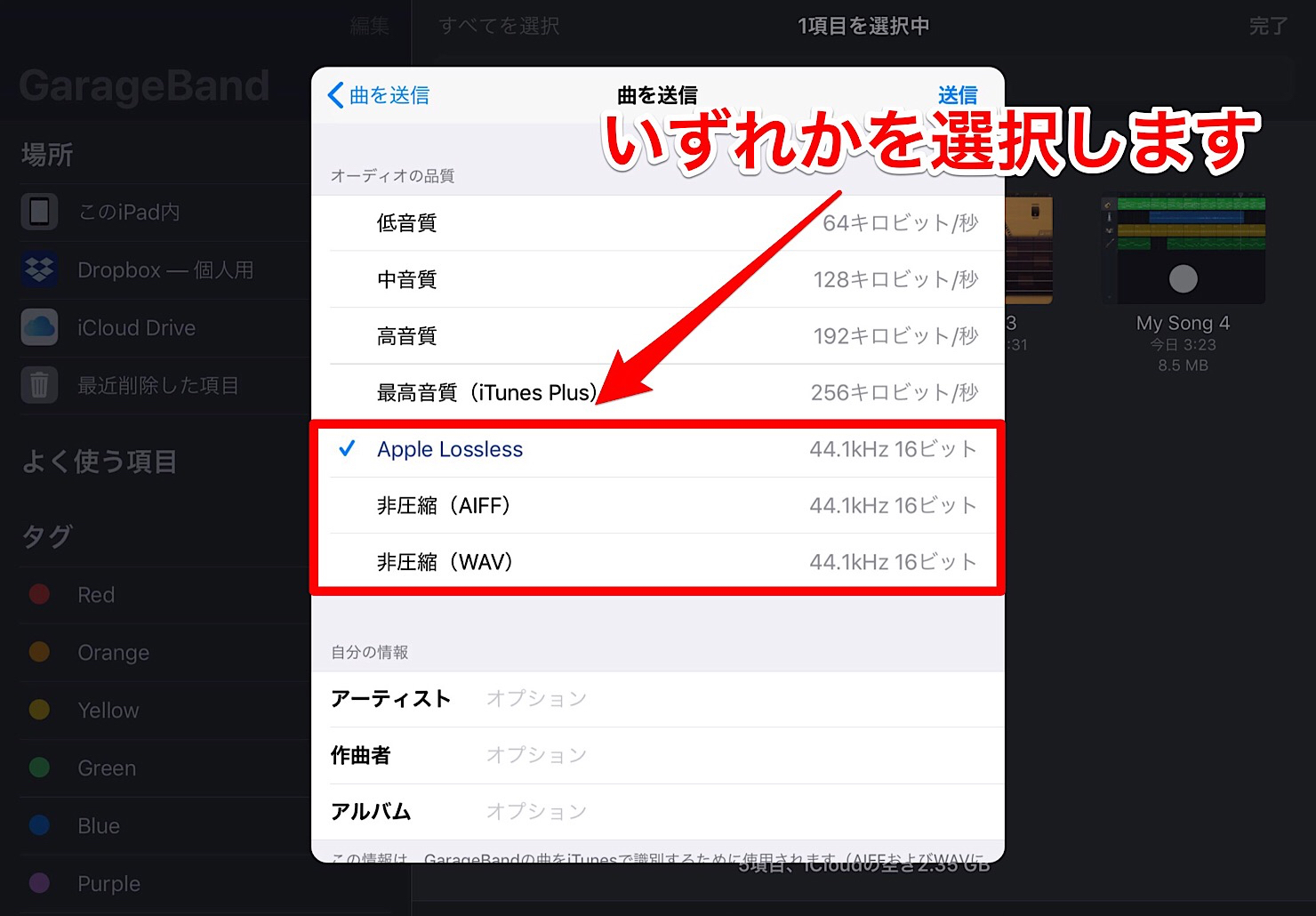 Garagabend-ios-export-songs-nana-4