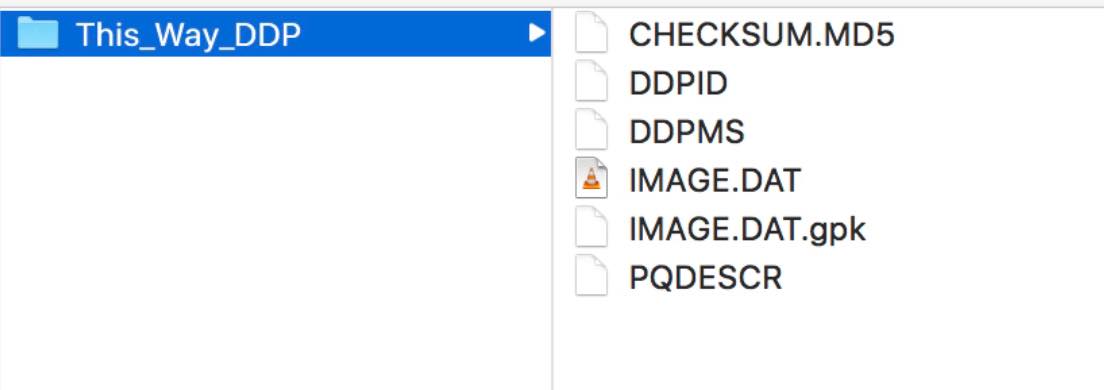 ddp_folder