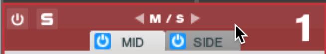 MS