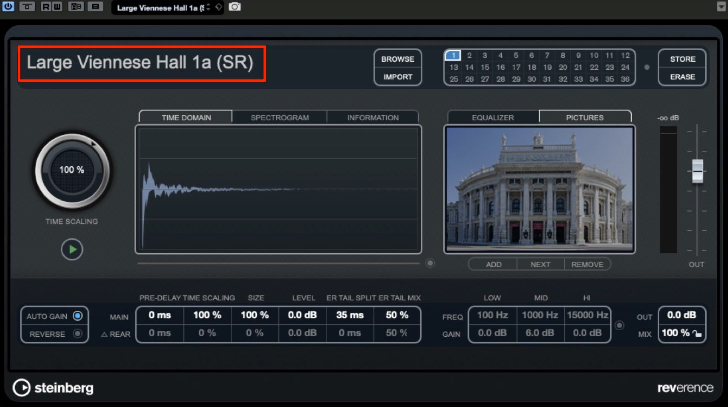 Large Viennese Hall 1a(SR)