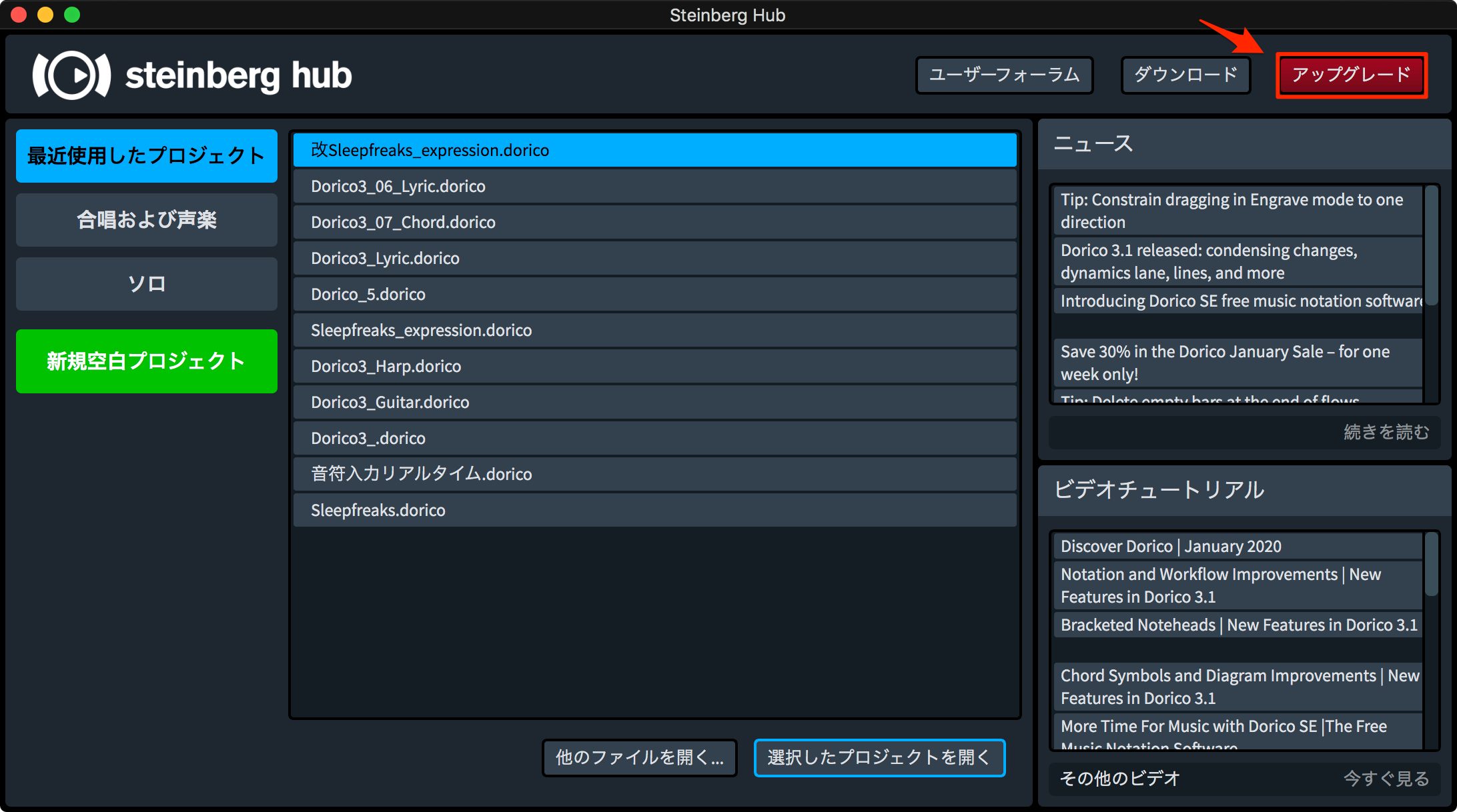 DoricoSE_3.1_2