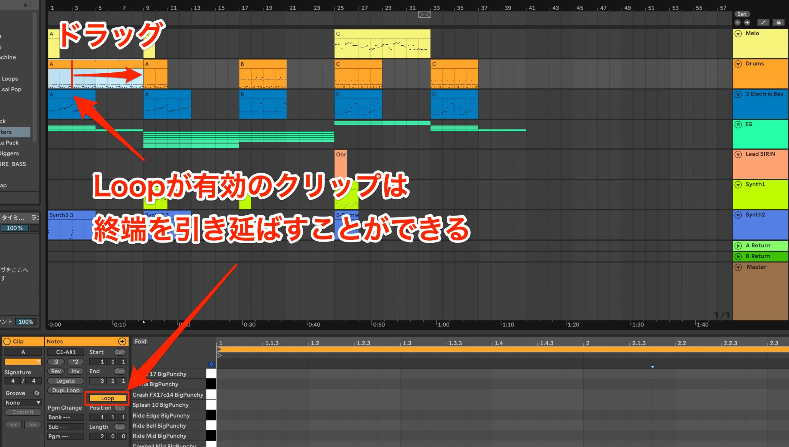 Ableton5-12