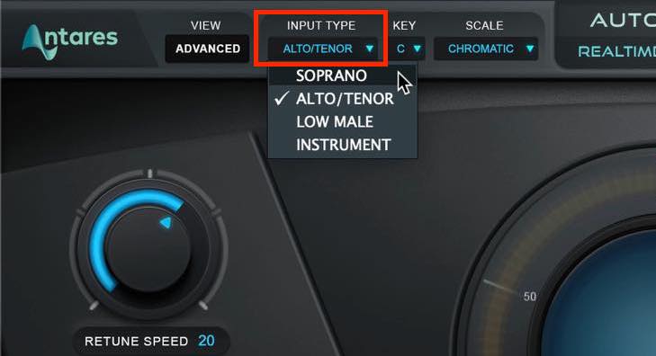 input type