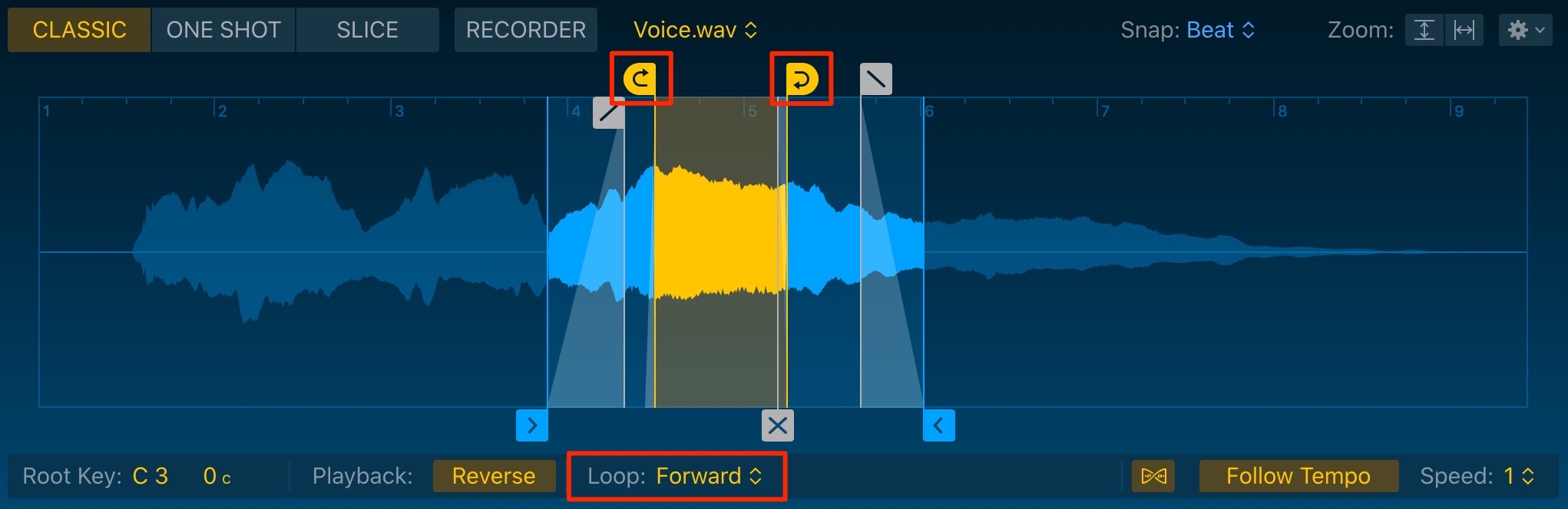 Loop