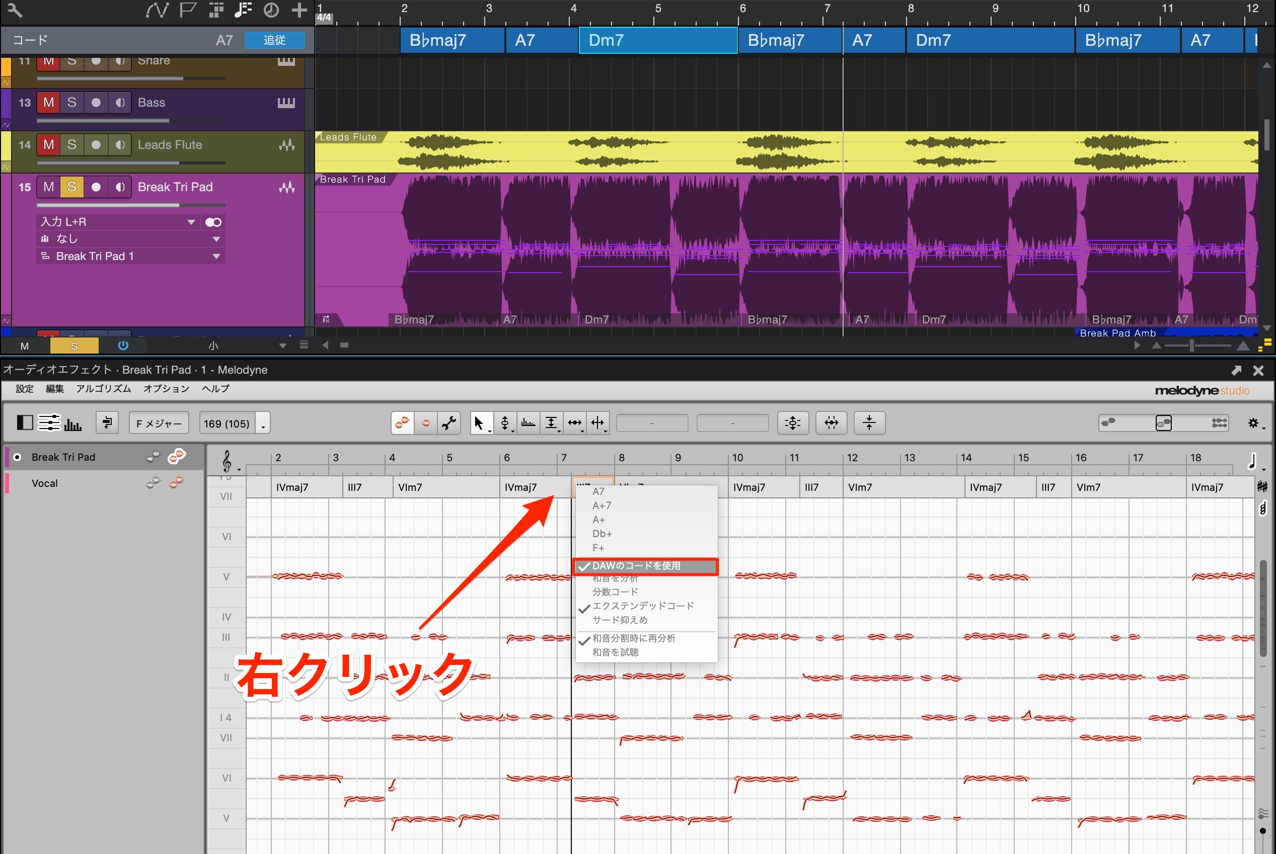 Melodyne_コード