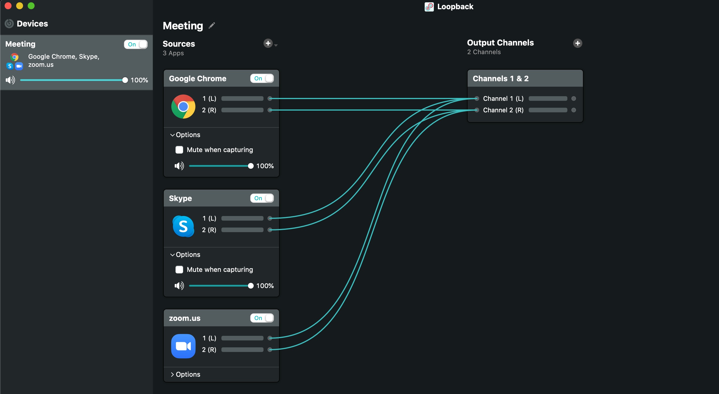 Loopback_Meeting