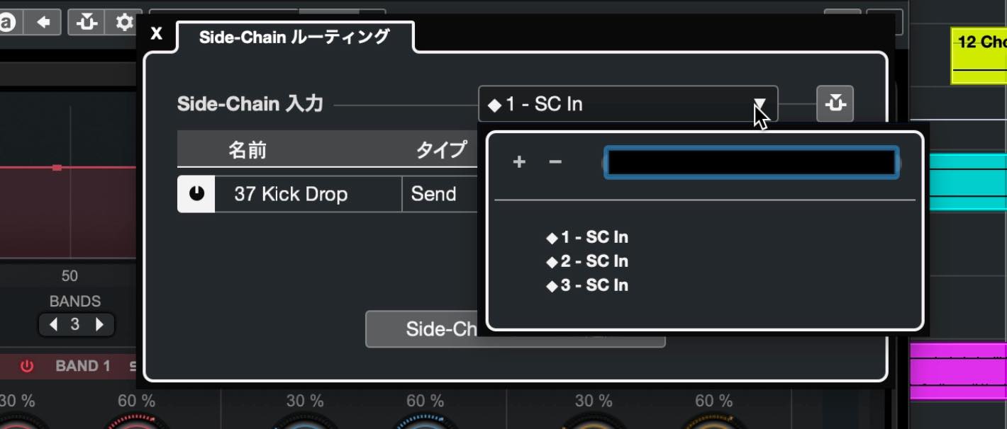 side chain