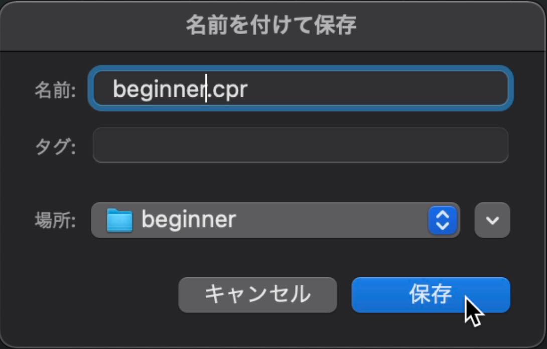 project name
