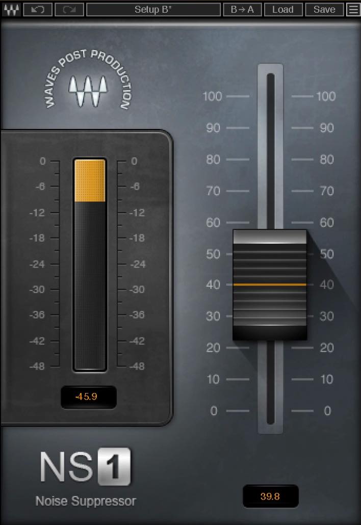 NS1