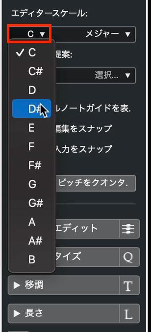 editor scale 1