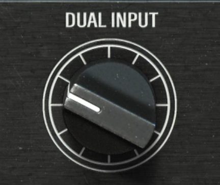 dual input