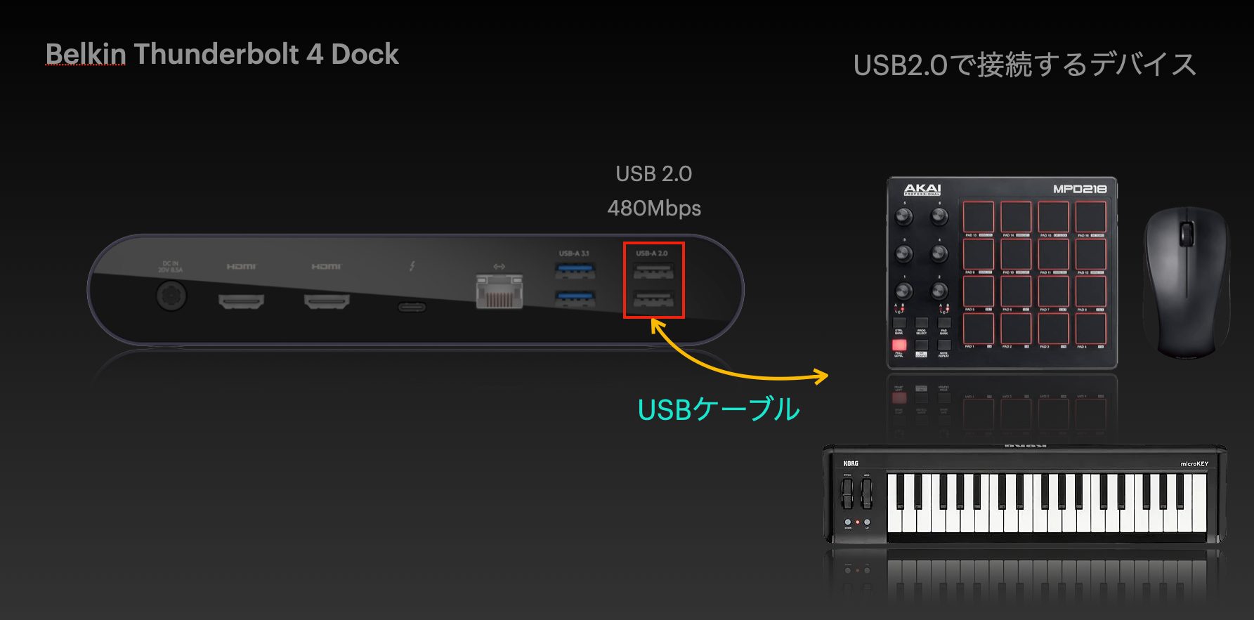 belkin16