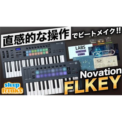FLKEY-FLStudio-eye