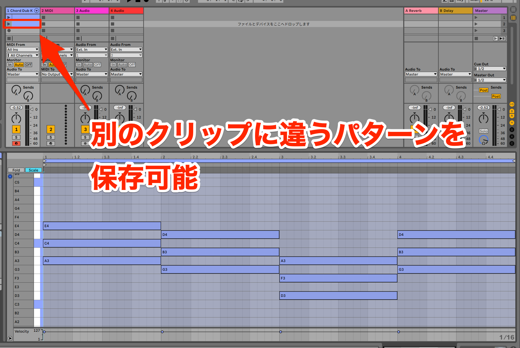 Live Lite17