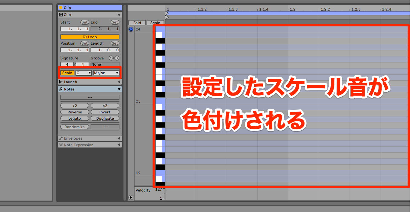 Live Lite11