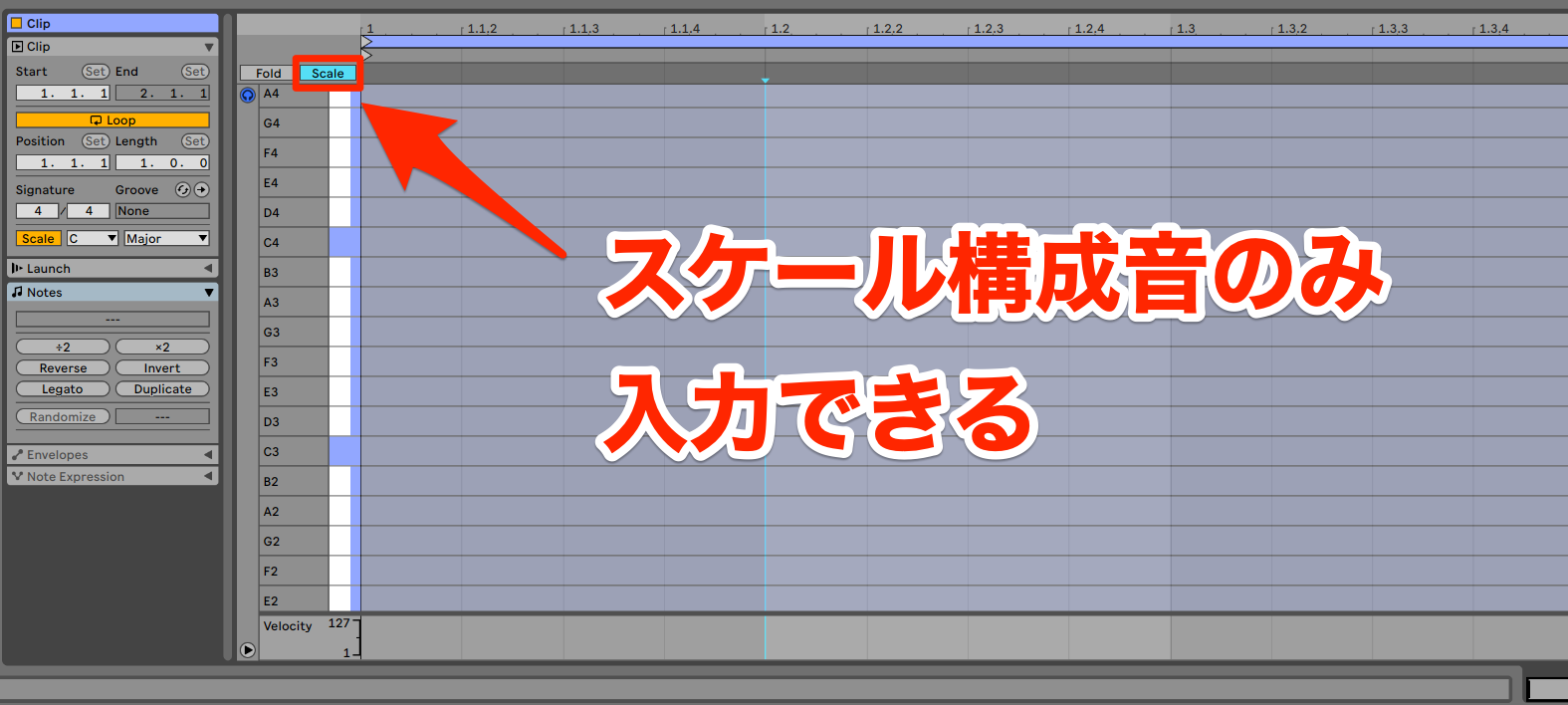 Live Lite12