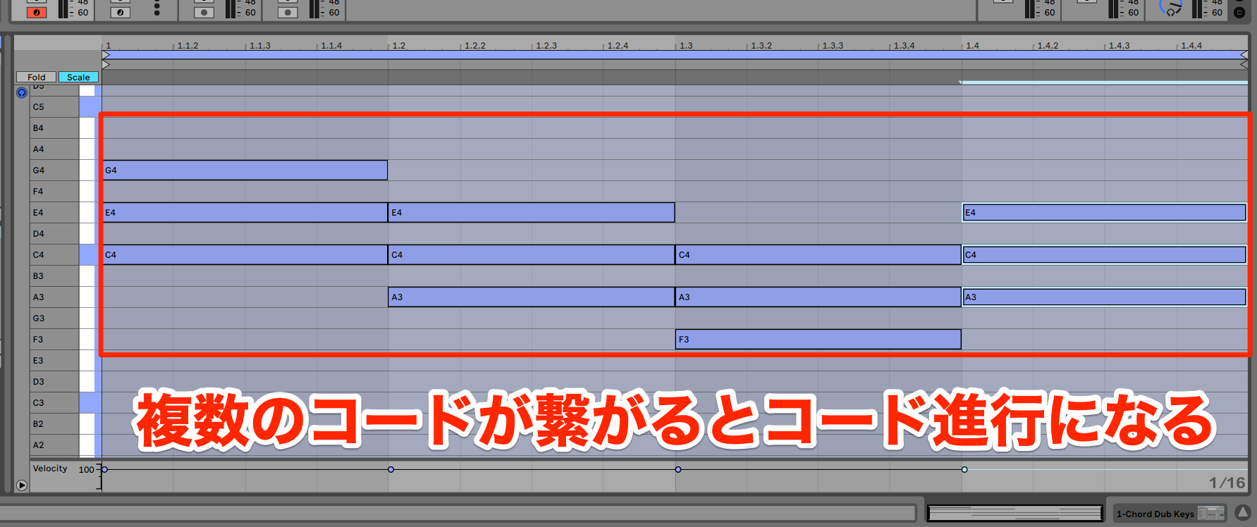 Live Lite14