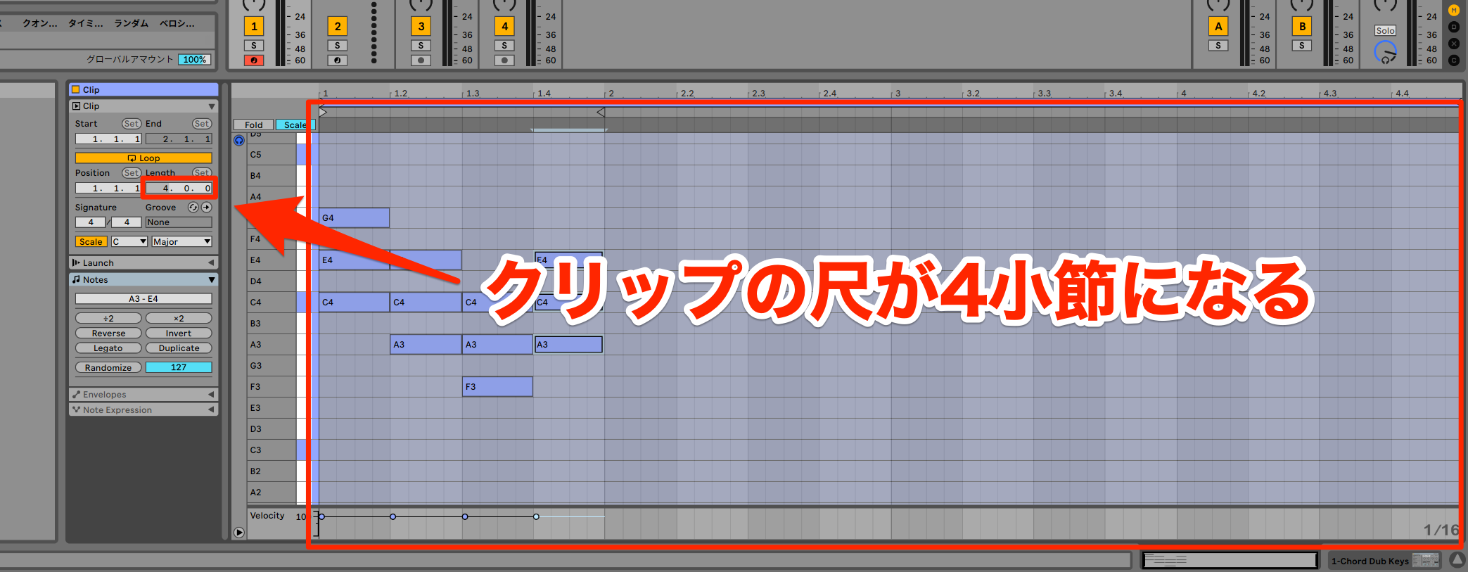 Live Lite15