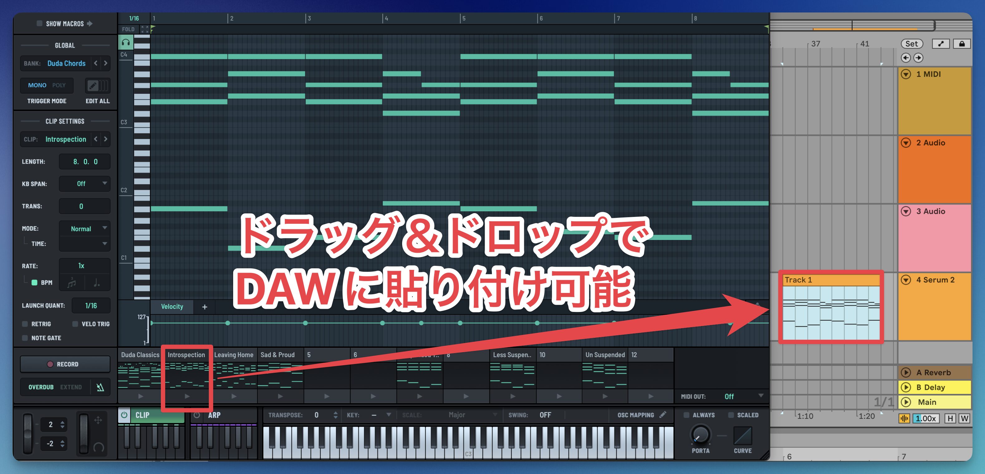 Serum2-Clip4