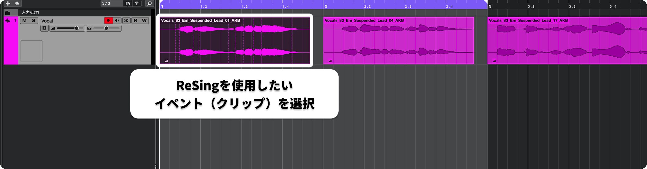 ReSing_Extension1