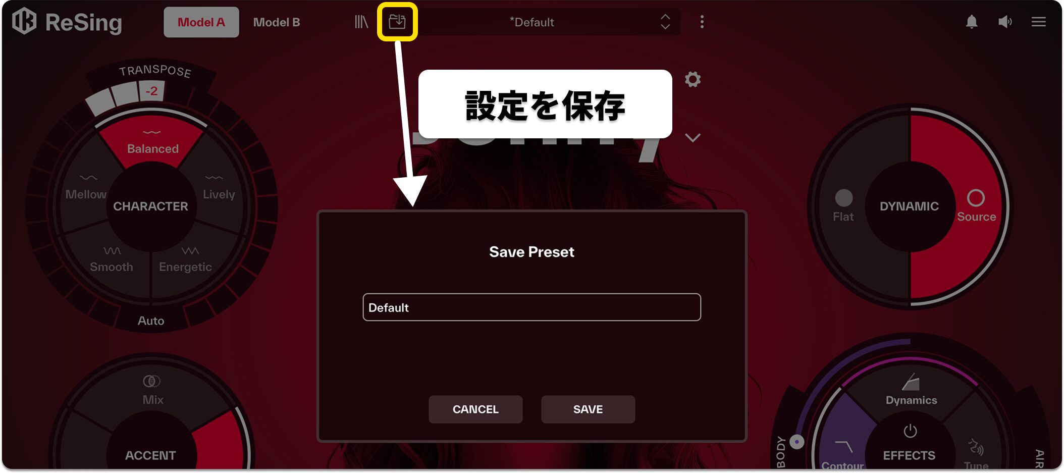 ReSing_SavePresets