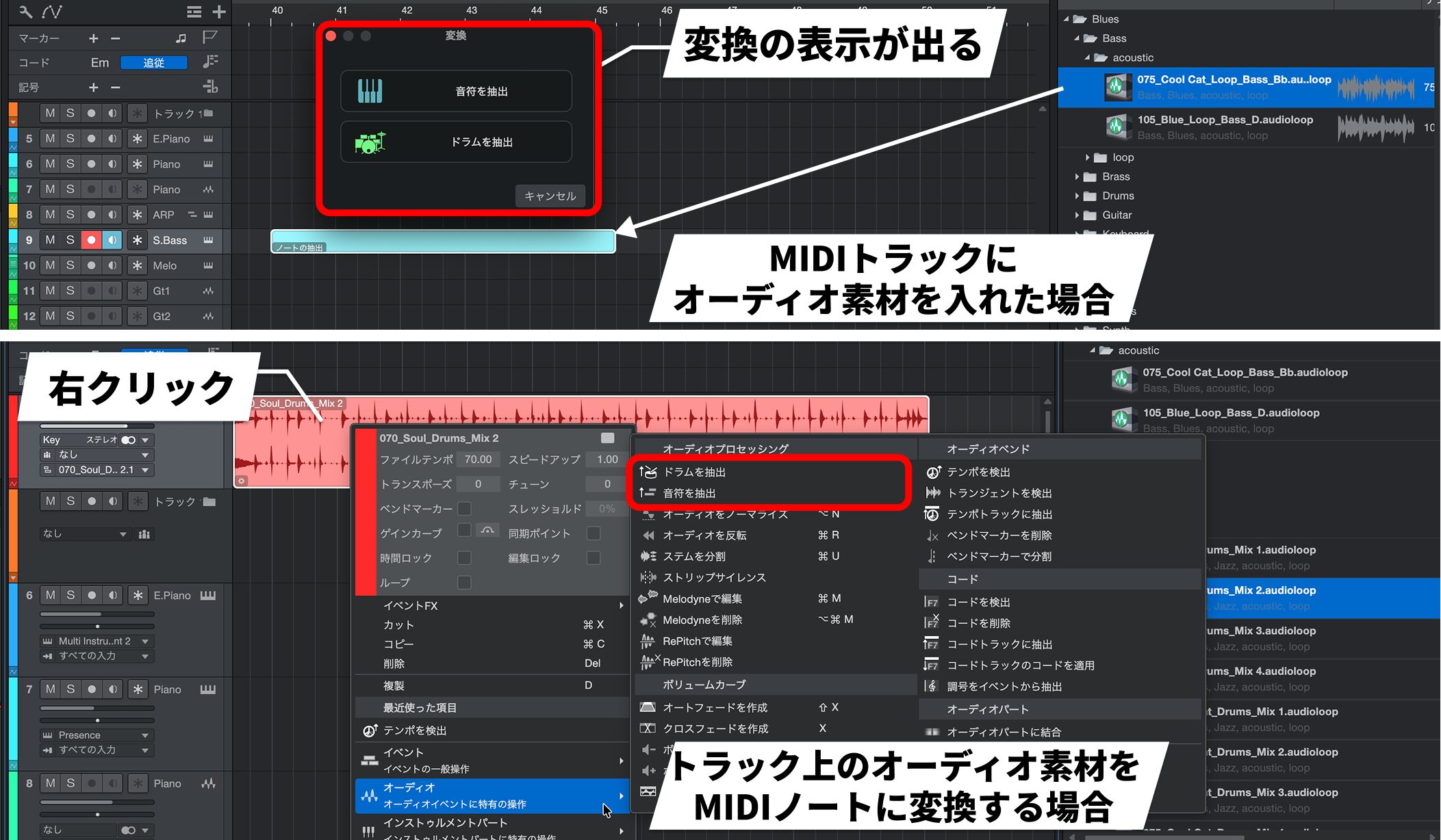 Fender Studio Pro12-2